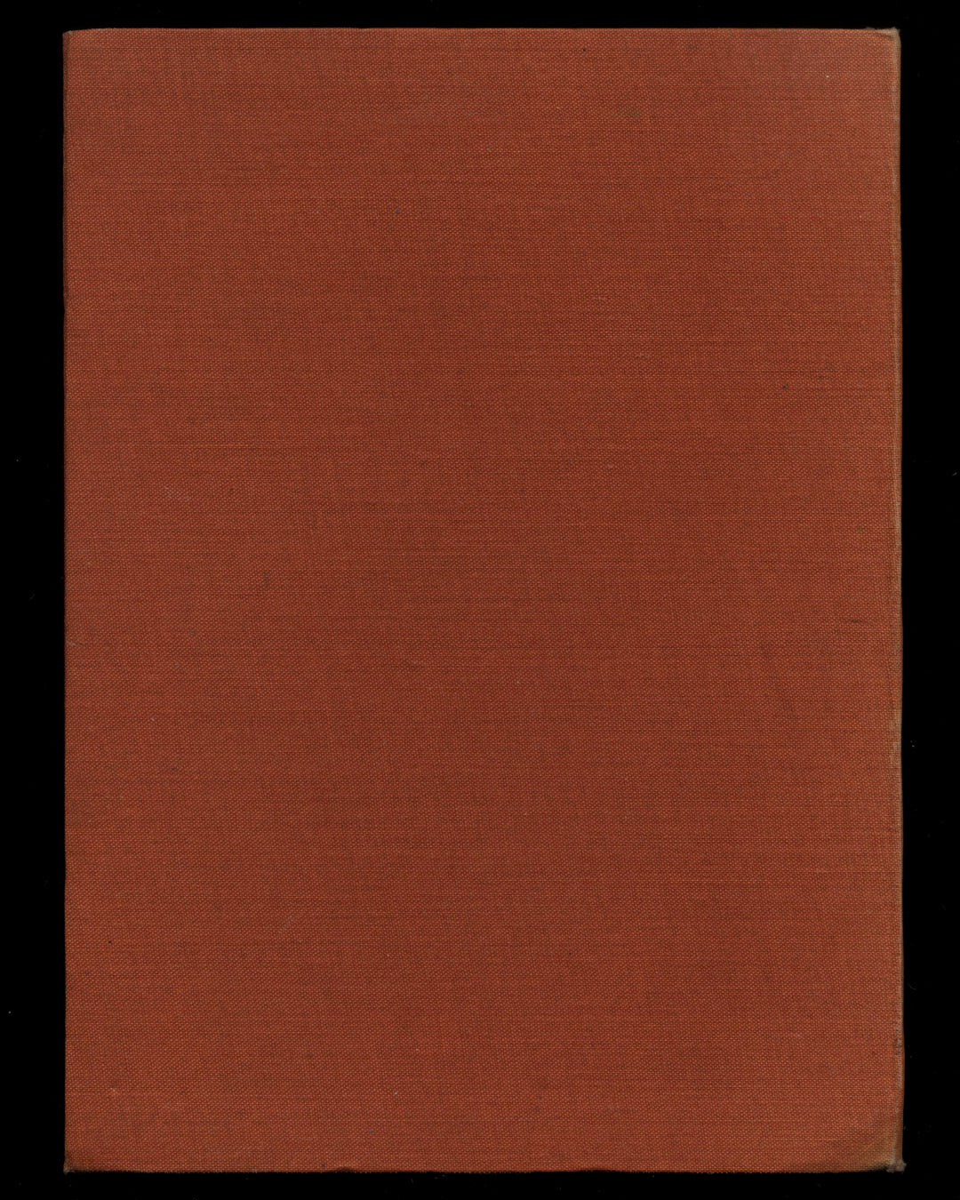 The Colt From Moon Mountain by Dorothy P. Lathrop