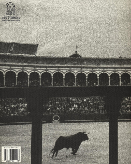 Plazas de Toros by Gonzalo Díaz Y. Recasens & Guillermo Vázquez Consuegra
