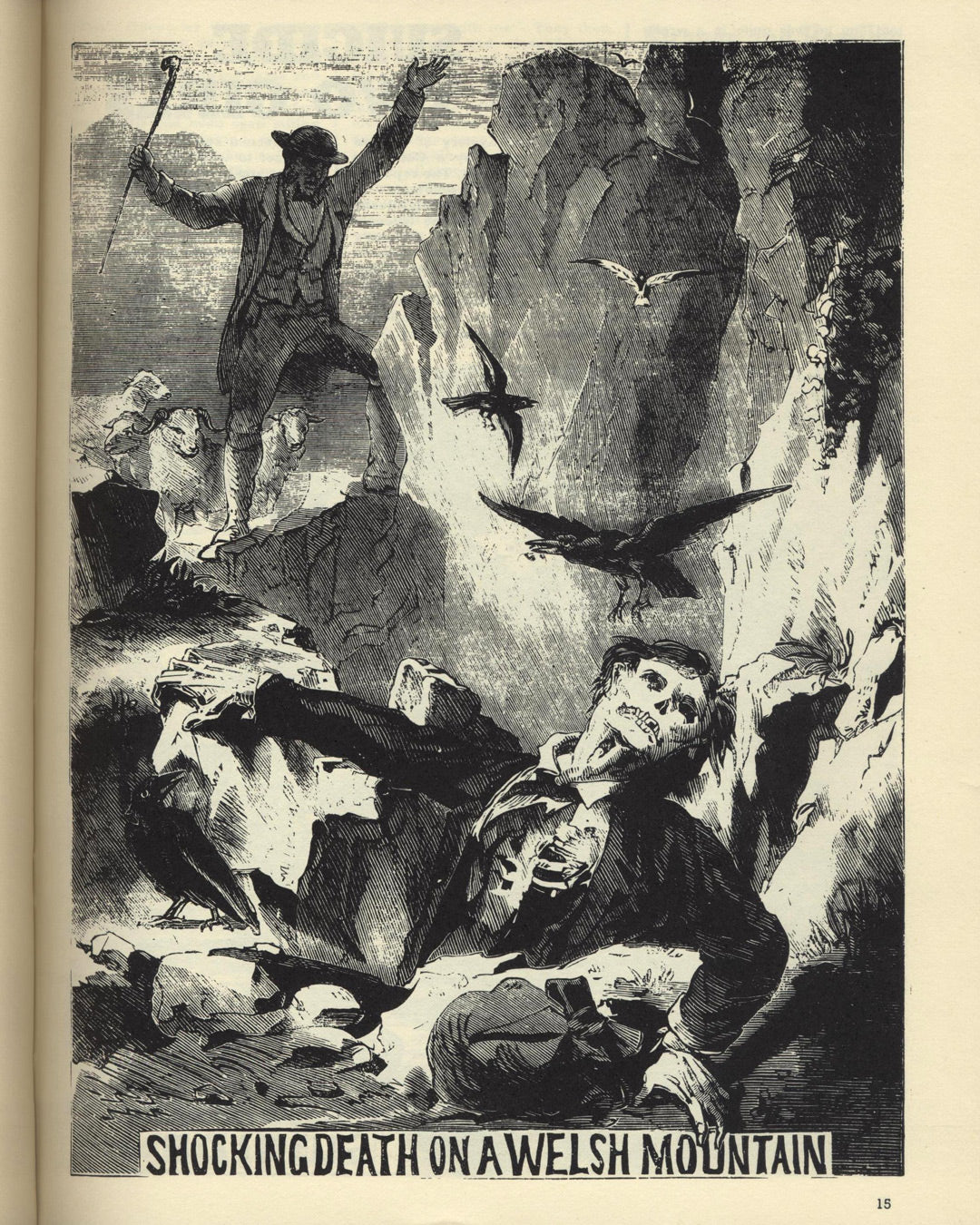 'Orrible Murder: Victorian Crime and Passion, Selections from The Illustrated Police News by Leonard De Vries 1st ed.