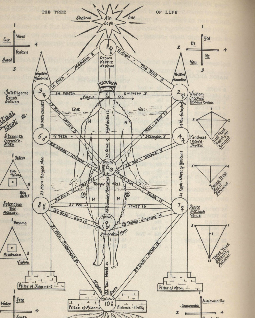 Tarot, A New Handbook for the Apprentice by Eileen Connolly