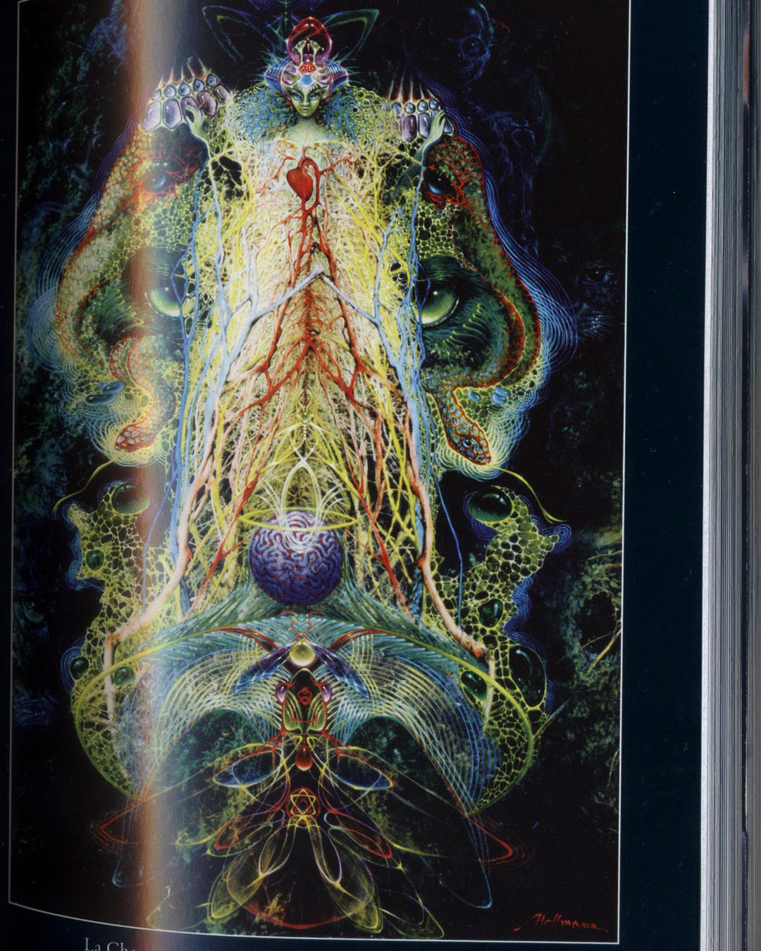 Inner Paths to Outer Space, Journeys to Alien Worlds through Psychedelics and Other Spiritual Technologies by Rick Strassman, M.D., Slawek Wojtowicz, M.D., Luis Eduardo Luna, Ph.D., & Ede Frecska, M.D.