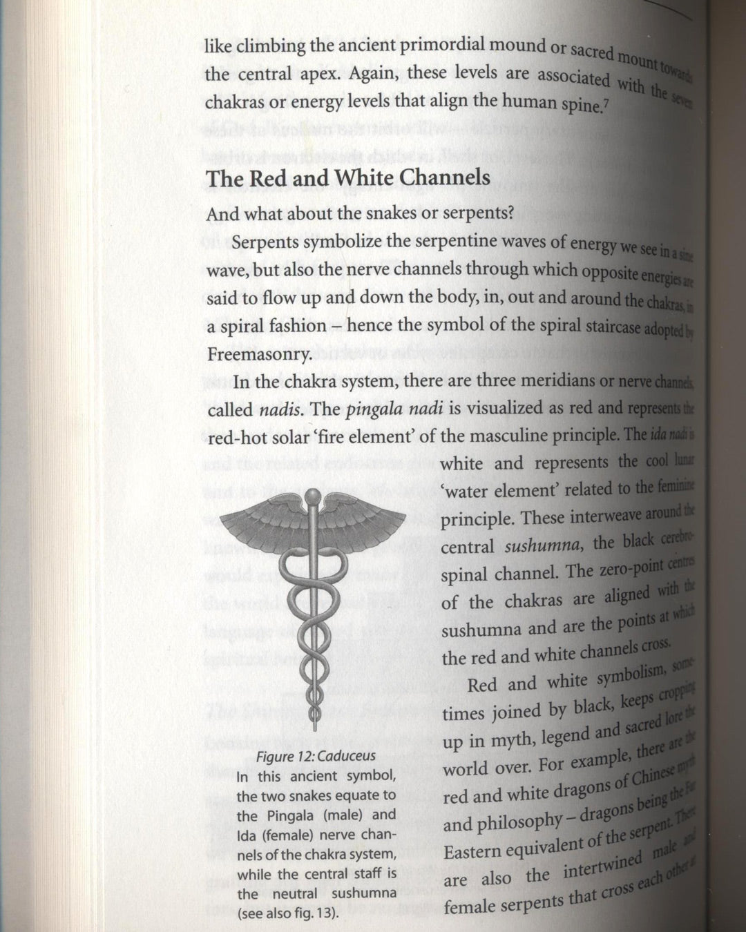 The Shining Ones, The World's Most Powerful Secret Society Revealed by Philip Gardiner & Gary Osborn