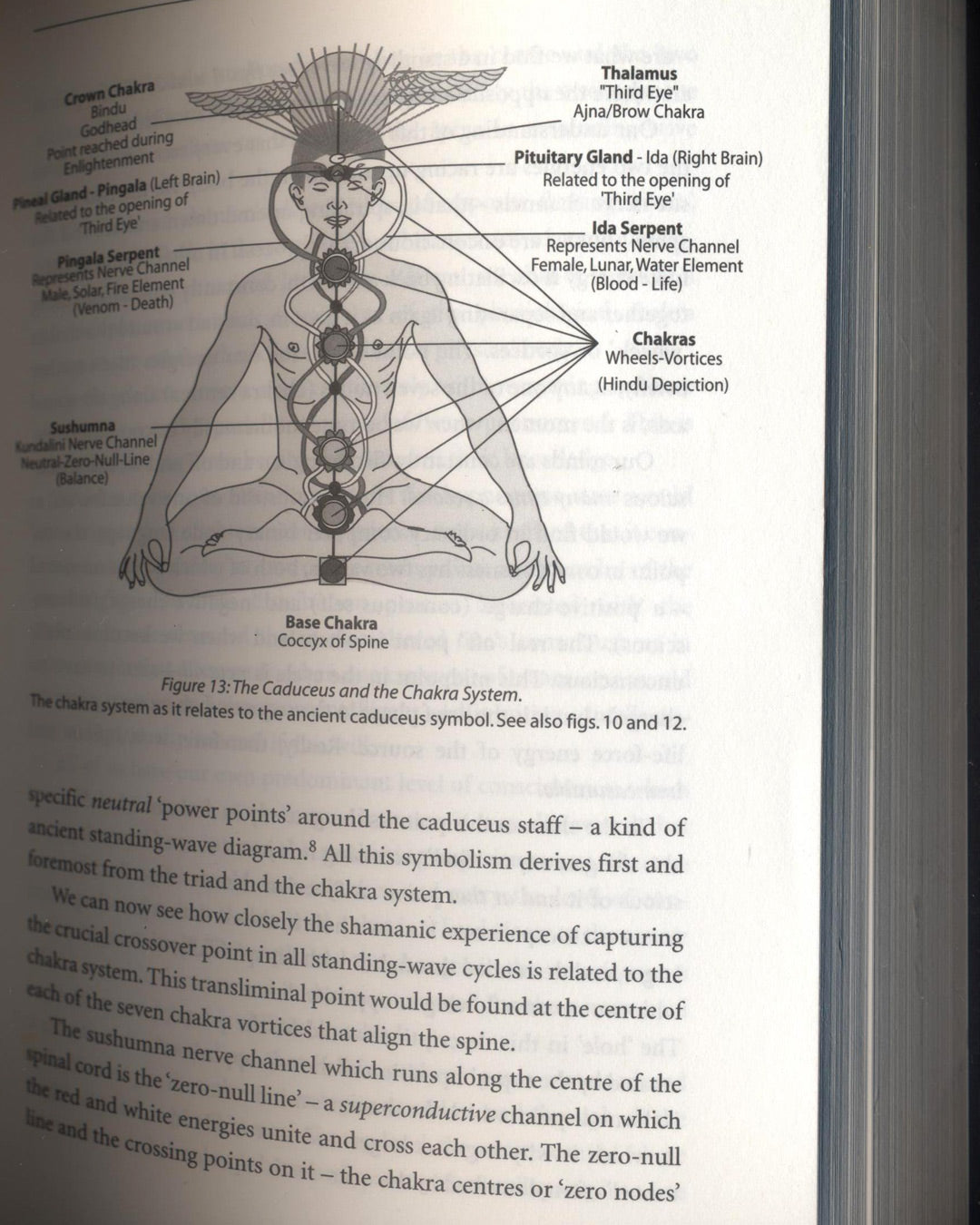 The Shining Ones, The World's Most Powerful Secret Society Revealed by Philip Gardiner & Gary Osborn