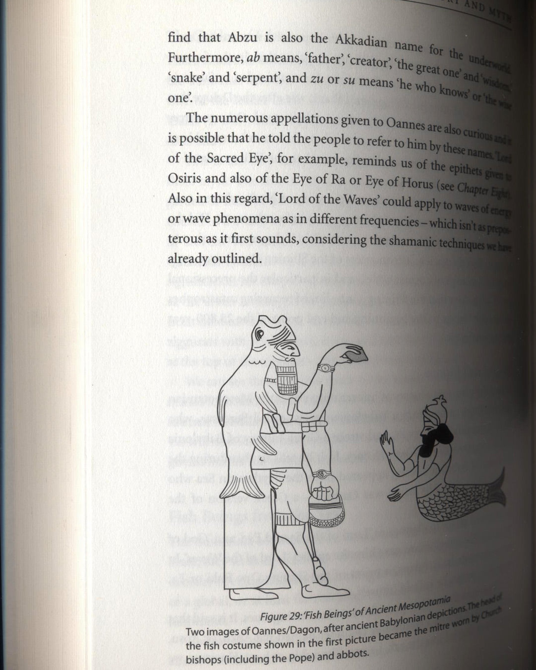 The Shining Ones, The World's Most Powerful Secret Society Revealed by Philip Gardiner & Gary Osborn