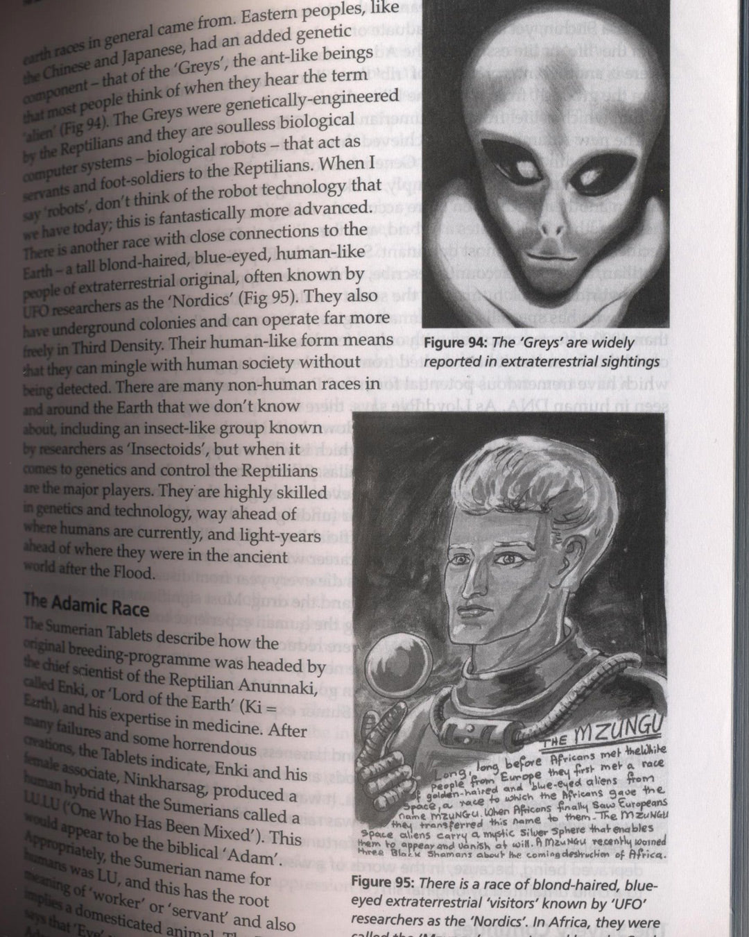 Human Race Get Off Your Knees, The Lion Sleeps No More by David Icke 1st ed.