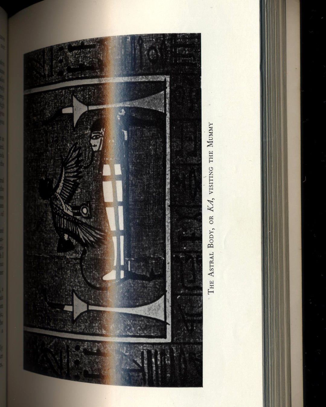 The Projection of the Astral Body by Sylvan Muldoon and Hereward Carrington