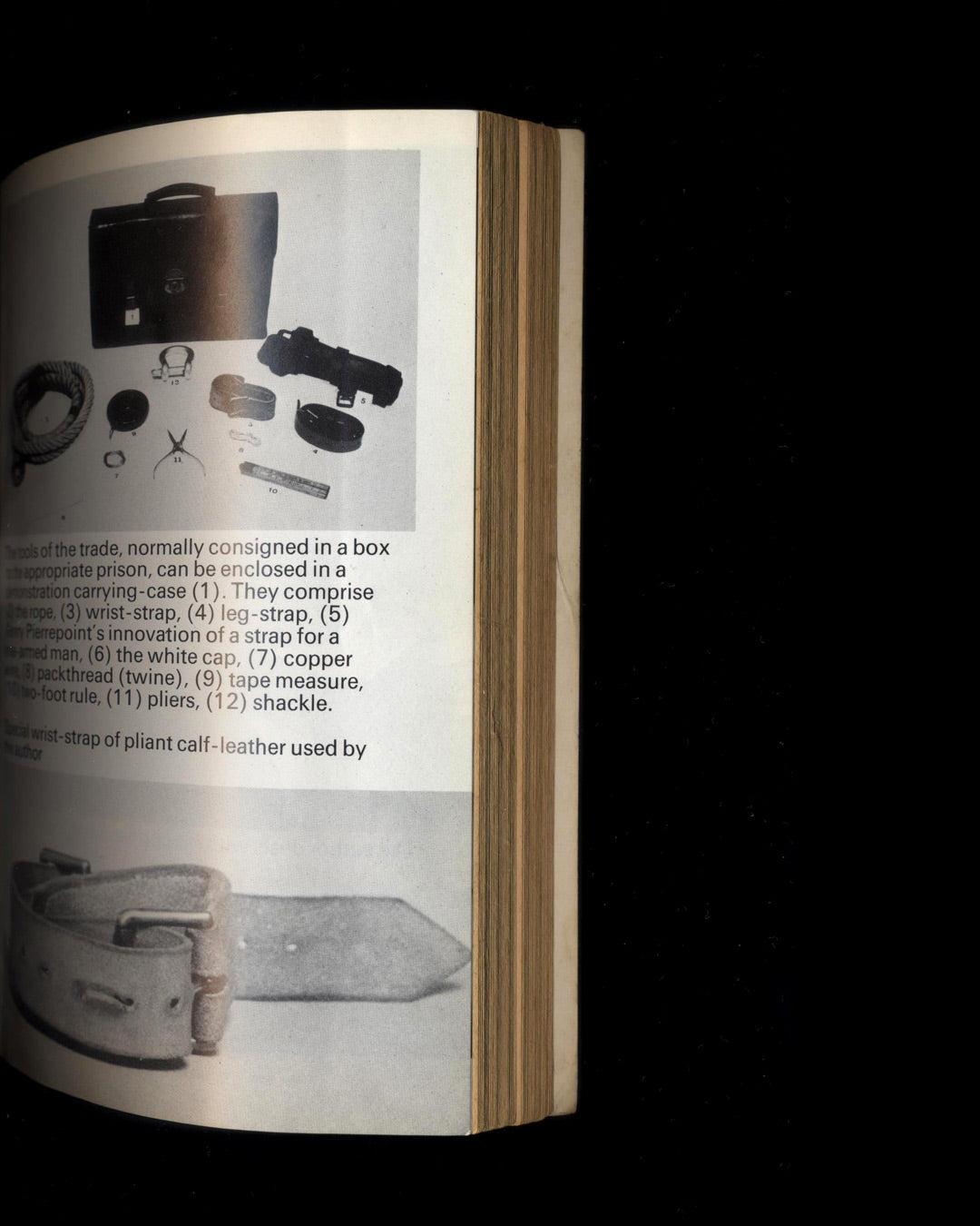 Executioner: Pierrepoint by Albert Pierrepoint