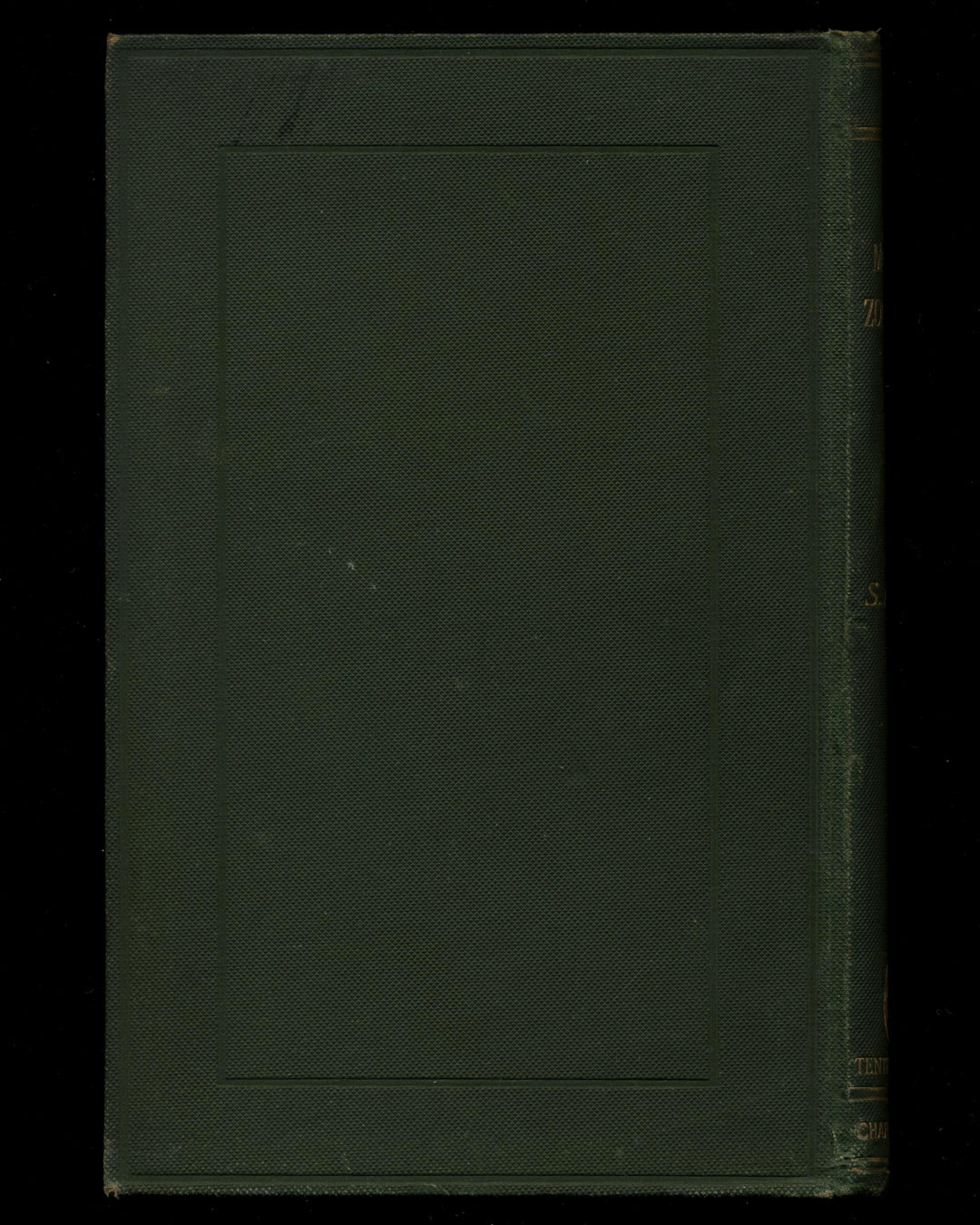 A Modern Zoroastrian by S. Laing