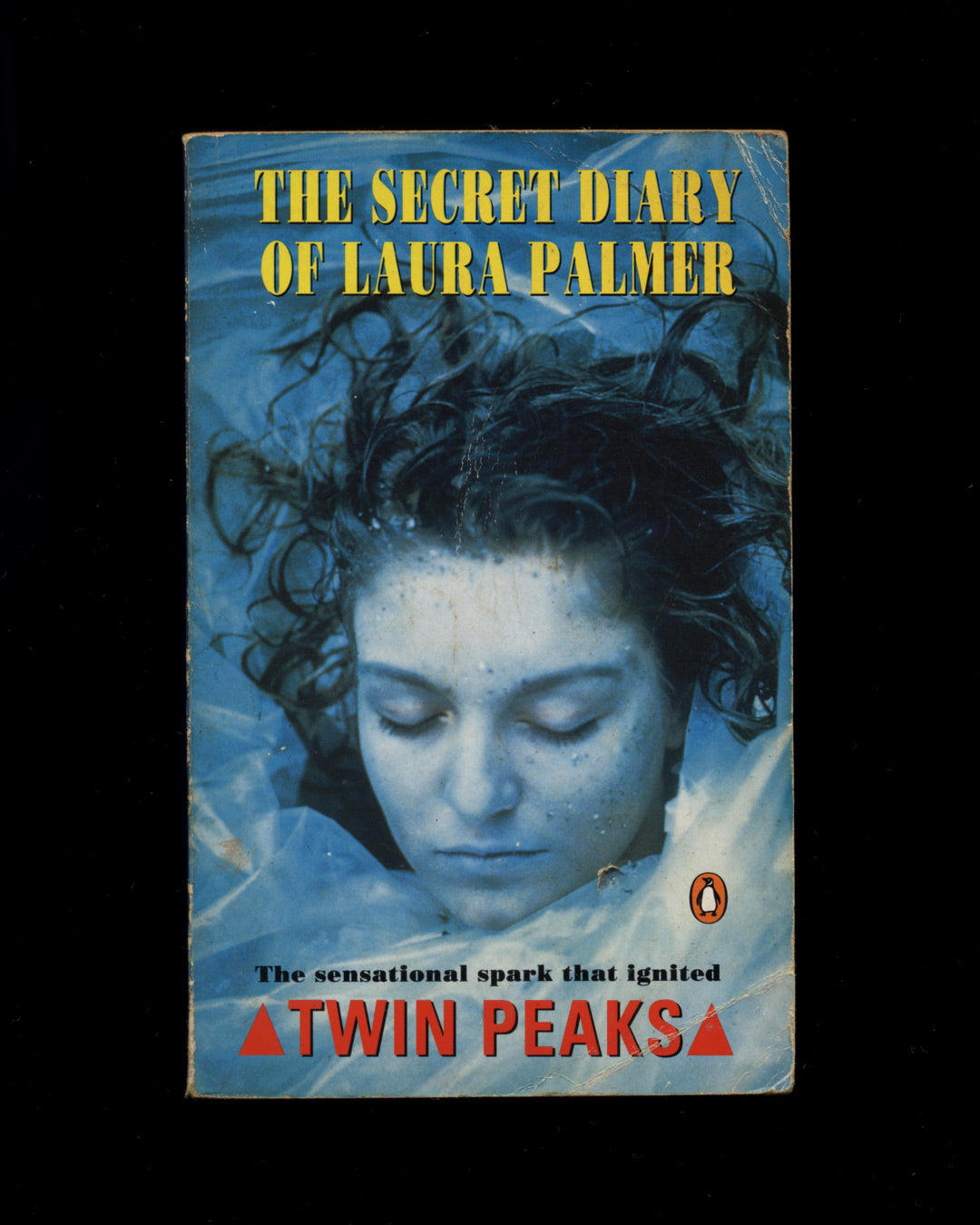 The Secret Diary of Laura Palmer, As seen by Jennifer Lynch