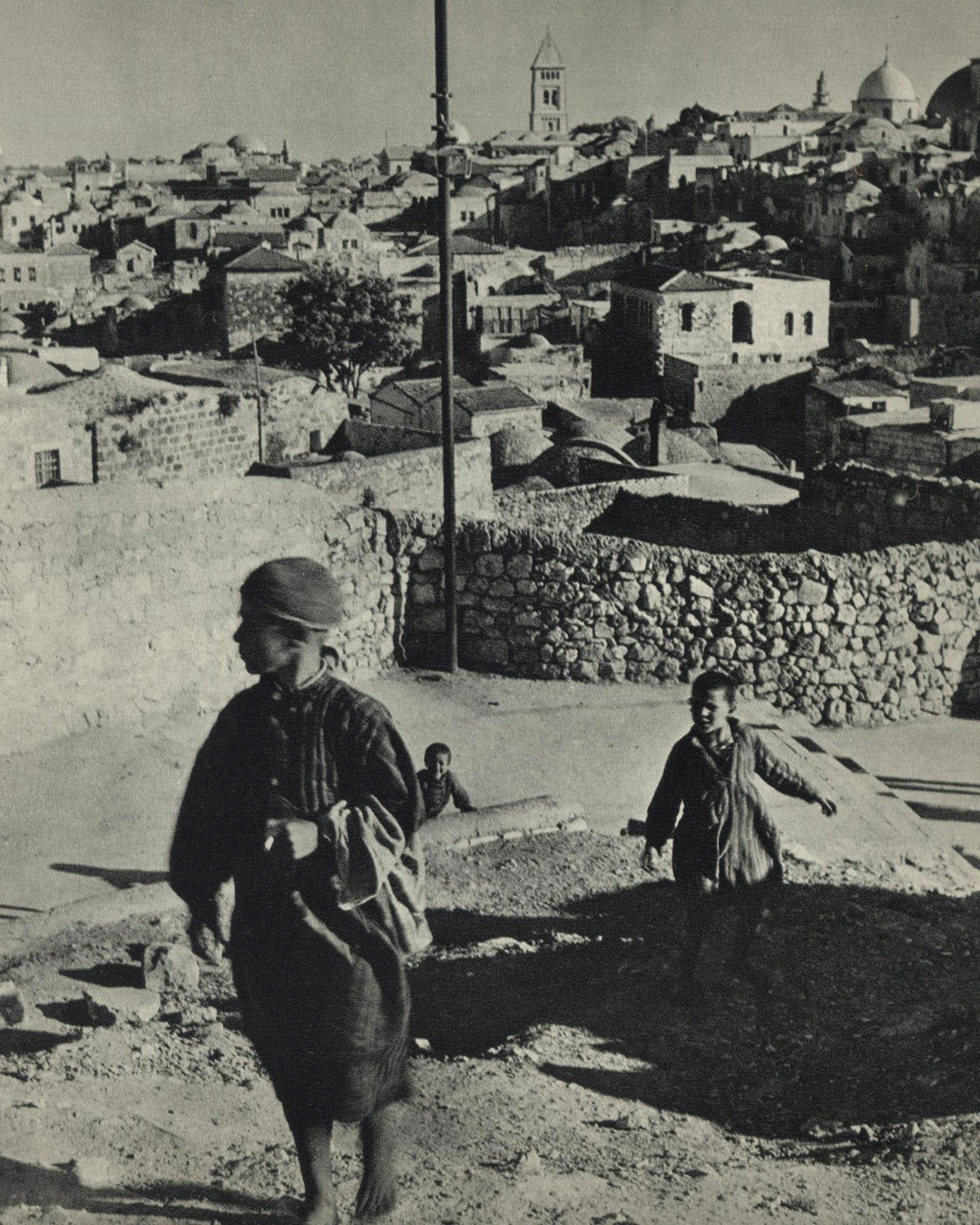 Palestine by Daniel Brick and Anna Riwkin-Brick 1st ed.