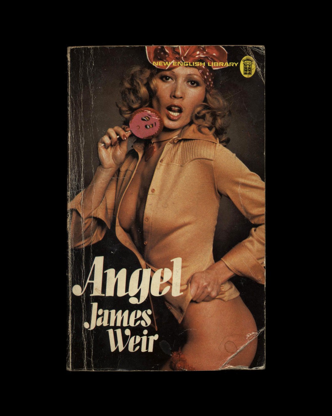 Angel by James Weir 1st ed.