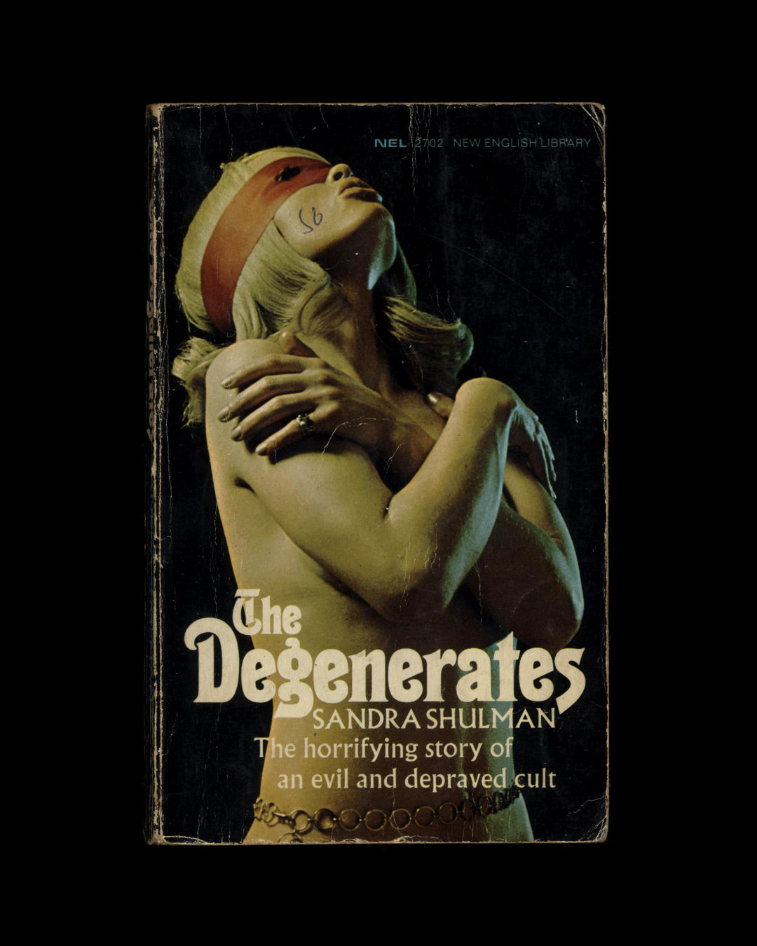 The Degenerates by Sandra Shulman 1st ed.