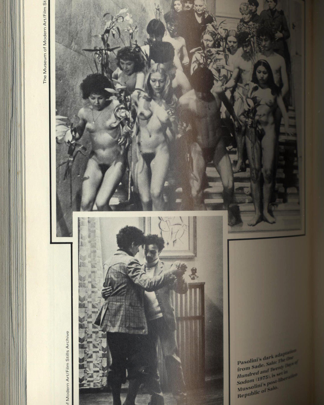 Pasolini, A Biography by Enzo Siciliano, Translated by John Shepley